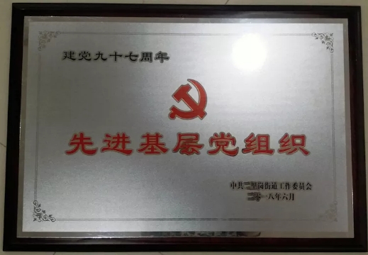 中博支部荣获先进基层党组织称号！
